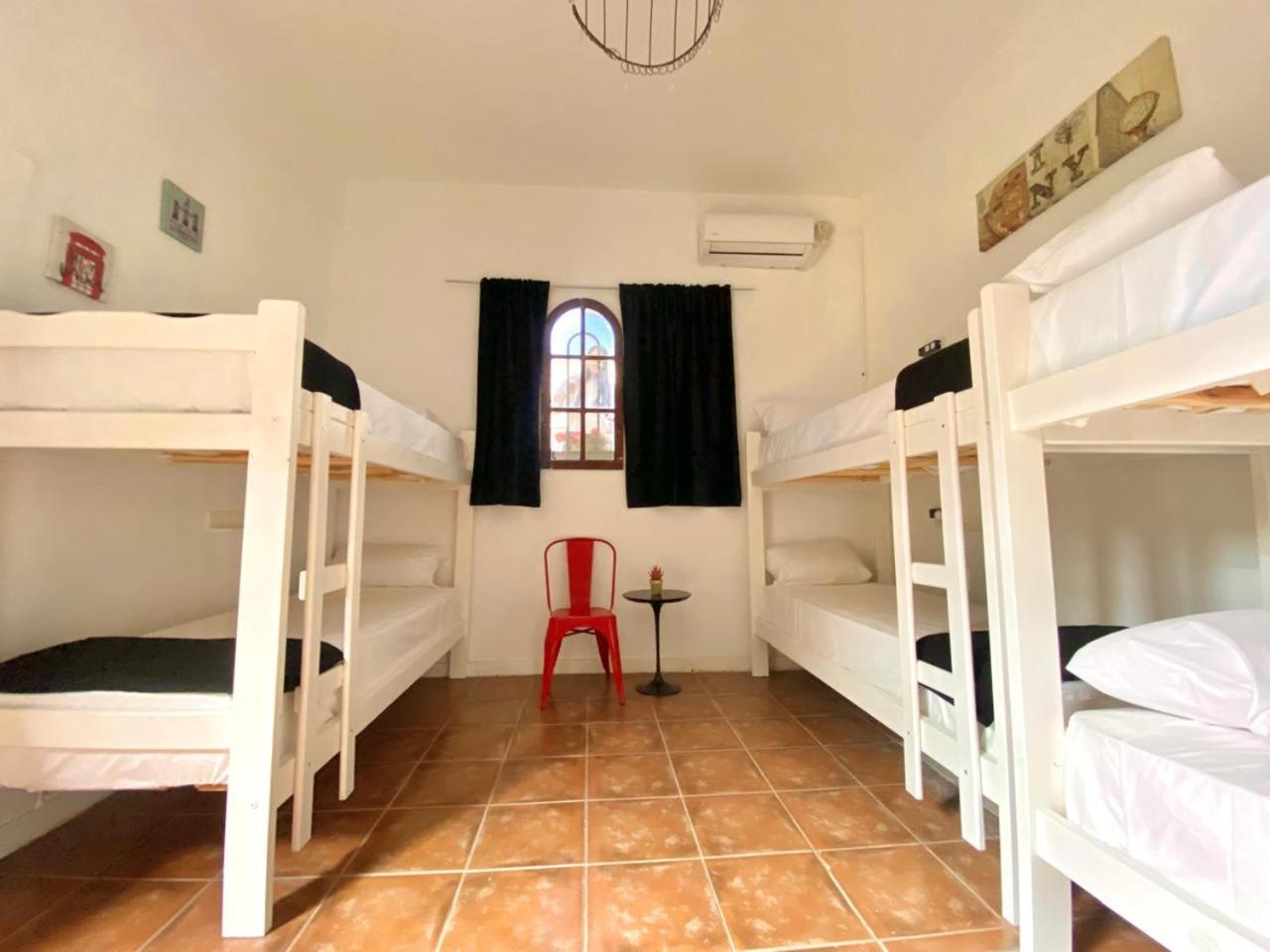 Ph Palermo Hostel Buenos Aires Dış mekan fotoğraf